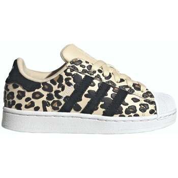 adidas Deportivas Moda SUPERSTAR II C BEIGE KK2116 para niño