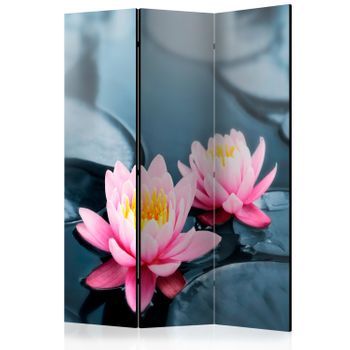 Biombo - Lotus Blossoms (135x172 Cm)