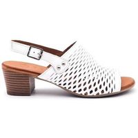 salonisimos zapatos elda para mujer