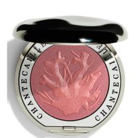 chantecaille cheek shade various shades - laughter