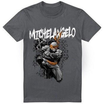 Teenage Mutant Ninja Turtles Camiseta TV6535 para hombre