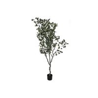 arbol pe cemento 80x80x220 eucalipto verde
