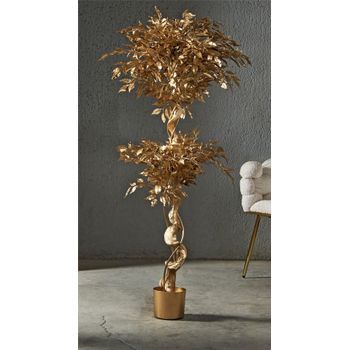 Planta Ficus Benjamin Oro 154 Cms. 78x154 Cms
