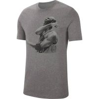 camiseta air jordan photo graphic grey