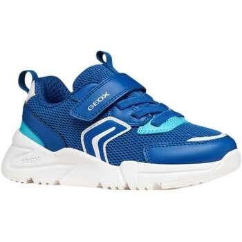 Geox Zapatillas - para niño