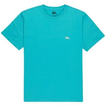 Quiksilver Camiseta CAMISETA BASICSCREENSSYM HOMBRE para hombre