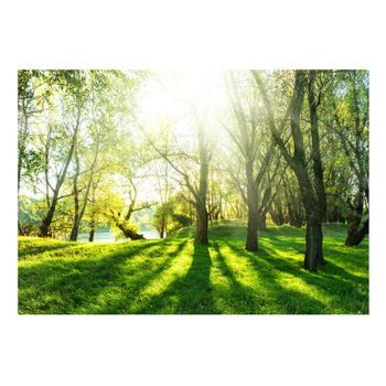 Papel Pintado 3d - Sunny May Day (200x140 Cm)