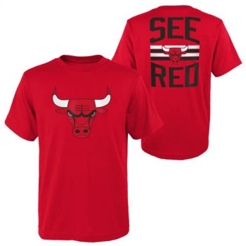 Camiseta Chicago Bulls Slogn Back SS Outerstuff - Junior Away