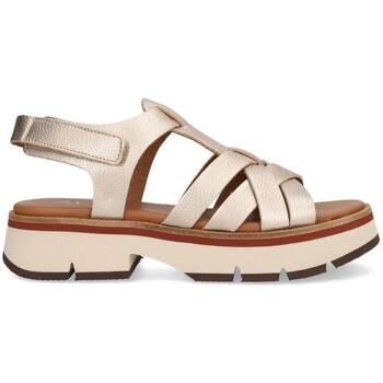 Alpe Deportivas Moda 5488-4143 para mujer