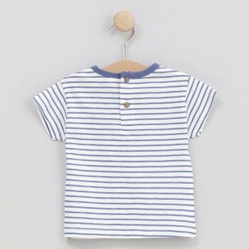 cotton fish Tops y Camisetas 90683 para niño