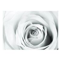 papel pintado 3d - charada rosa 350x245 cm