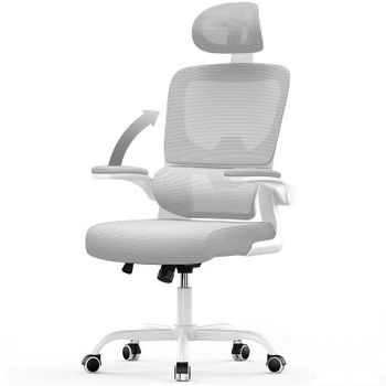 Silla de oficina Naspaluro ergonómica con reposabrazos plegable y soporte lumbar gris