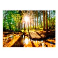papel pintado 3d - marvelous forest 400x280 cm