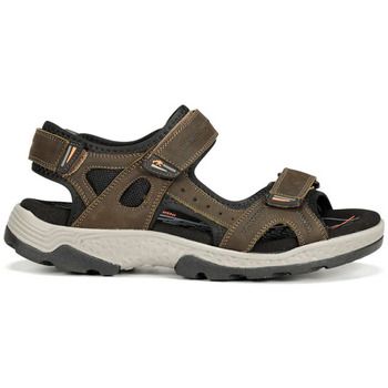 Fluchos Sandalias F2411 para hombre