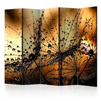 biombo - dandelions in the rain ii 225x172 cm