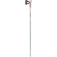 leki kije nordic walking passion green 100