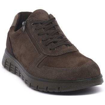 Enval Zapatillas de senderismo BERIT CAFFE para mujer