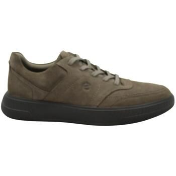 Ecco Zapatillas ECC-I26-551654-AR para hombre
