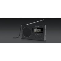pll portable radio 4-band fmmwlwsw black with led display