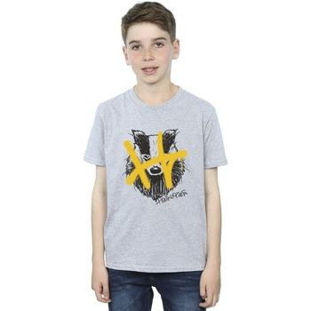 Harry Potter Tops y Camisetas Hufflepuff para niño