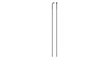 Radios sapim race j bend negro 276mm