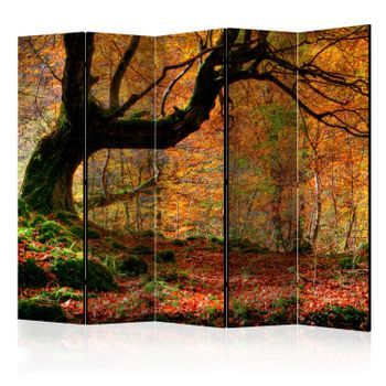 Biombo - Autumn, Forest And Leaves Ii [room Dividers]