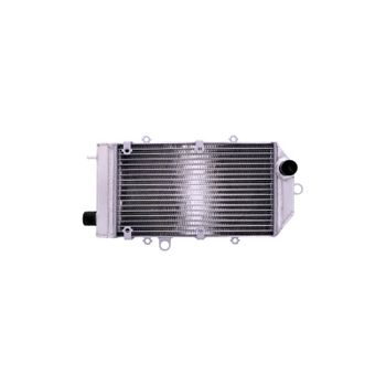 Refrigerador motor Kawasaki VN 900 agua