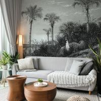 papel pintado panoramico caladesi bay