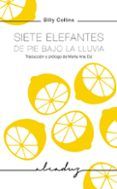 siete elefantes de pie bajo la lluvia