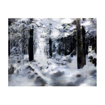 Papel Pintado 3d - Bosque Invernal (300x231 Cm)