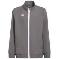 adidas chaqueta deporte entrada 22 presentation para hombre