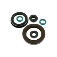 kit reten motor yamaha fzs 600 athena
