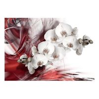 papel pintado 3d - orchid in red 250x175 cm