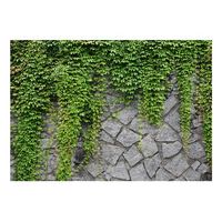 papel pintado 3d - muro verde 250x175 cm