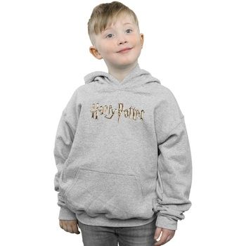 Harry Potter Jersey BI7710 para niño