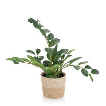 Planta Artificial / Árbol Glücksfeder Zamioculcas Verde Hjh Office