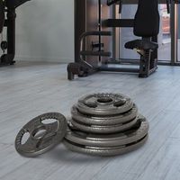 juego de 6 discos de pesas 35 kg homcom acero o31x3 cm plata