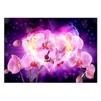 papel pintado 3d - orquideas en llamas 300x210 cm
