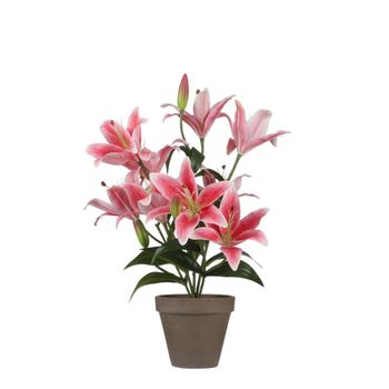 Planta artificial tigerlily fucsia  h47xb45xl45cm