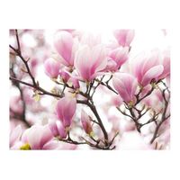 papel pintado 3d - ramo de magnolia floreciente 200x154 cm