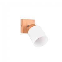 aplique de pared orientable assam