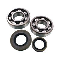 kit cojinetes carter motor suzuki rm 250 03-04 tour max