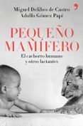 pequeno mamifero