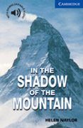 in the shadow of the mountain level 5