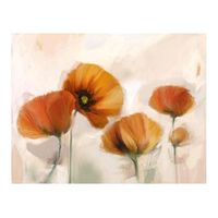 papel pintado 3d - amapolas - vintage 250x193 cm