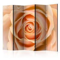 biombo - peach-colored rose ii room dividers