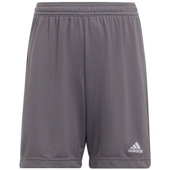 adidas Short niño Entrada 22 para niño