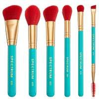 spectrum travel books cannes 6 piece makeup brush set