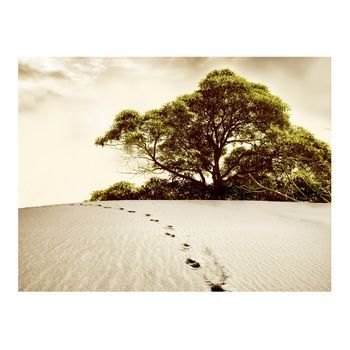 Papel Pintado 3d - Un Árbol En Un Desierto (350x270 Cm)