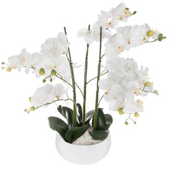Orquídea Artificial Maceta Cerámica Blanca H65cm